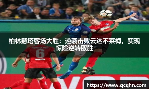 南宫NG·28