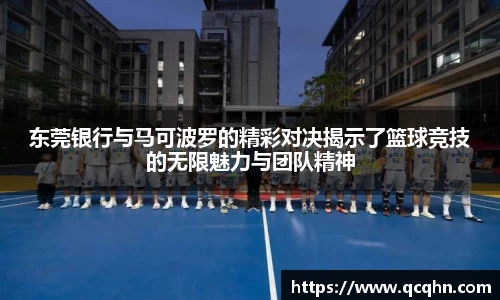 南宫NG·28